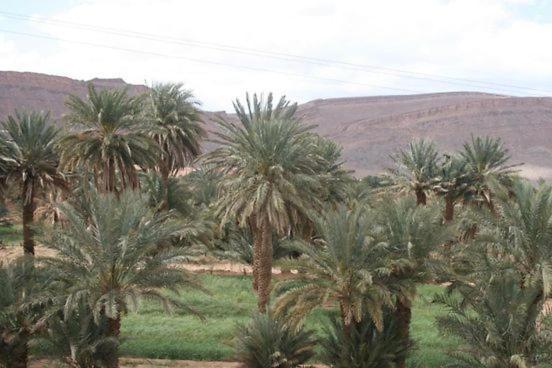 Maggaman Guest House Tafraoute Sidi Ali Extérieur photo